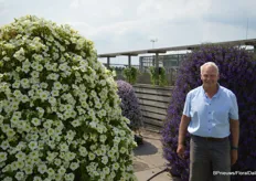 Jeroen Egberts, MNP, at the floral display (left the Surfinia light-yellow, right the Scaevola deep blue) at the entrance to the show garden.